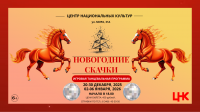 Игровая танцевальная программа «Новогодние скачки»