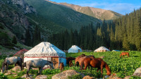 День культурного наследия народов России (кыргызская культура)