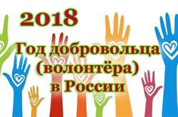 2018 год добровольца(волонтера) в России